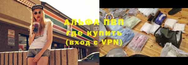 МДПВ Каменка