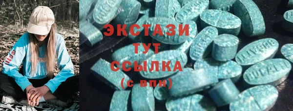 МДПВ Каменка