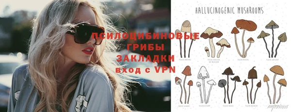jwh Каменногорск