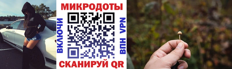 Галлюциногенные грибы Psilocybine cubensis  Купить где  Железногорск-Илимский 